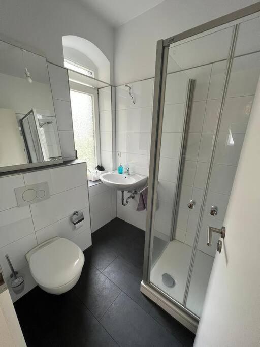 Ein Schoenes Studio-apartment In Oststadt *