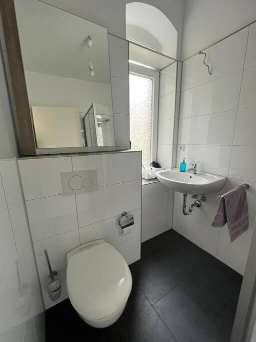 Ein Schoenes Studio-apartment In Oststadt